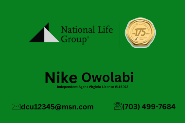 Financial Services – Nike Owolabi logo
