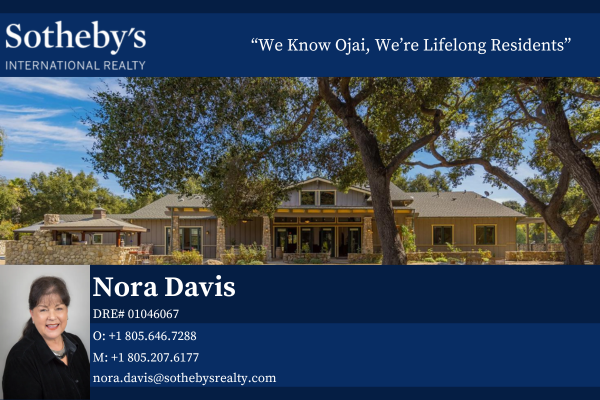 Nora Davis Sotheby's International Realty logo
